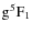 $\rm g^5F_{1}$