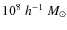 $10^8~h^{-1}~{M}_{\odot}$
