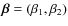 $\vec{\beta}=(\beta_1,\beta_2)$