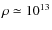 $\rho\simeq 10^{13}$