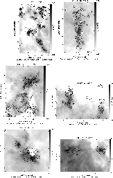 \begin{figure}
\par\mbox{\hspace*{1.75cm}\includegraphics[width=5.5cm]{11226f13....
...]{11226f17.eps} \includegraphics[width=7.5cm]{11226f18.eps} }
\par
\end{figure}