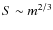 $S \sim m^{2/3}$