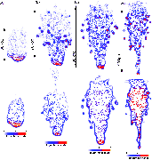 \begin{figure}
\par\includegraphics[width=15.5cm,clip]{11551fig21.eps}
\end{figure}