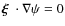 $\mbox{\boldmath$\xi$ }\cdot\nabla\psi=0$