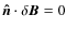 ${\vec{\hat n}}\cdot\delta{\vec B}=0$