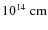 $10^{14}~\rm {cm}$