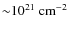 ${\sim}10^{21}~{\rm cm^{-2}}$