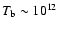 $T_{\rm b}\sim10^{12}$