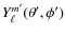 $ Y^{m'}_\ell (\theta',\phi')$