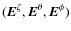 $({\vec E}^{\zeta},{\vec E}^{\theta},{\vec E}^{\phi})$