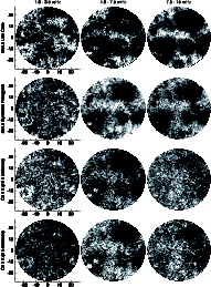 \begin{figure}
\par\includegraphics[width=16.7cm,clip]{1223_f6.eps}
\end{figure}