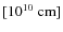 $[10^{10}~{\rm cm}]$