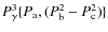 $P_{\gamma}^3 \{P_{\rm a}, (P_{\rm b}^2 - P_{\rm c}^2)\}$