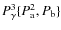 $P_{\gamma}^3 \{P_{\rm a}^2, P_{\rm b}\}$