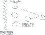 \begin{figure}
\par\includegraphics[width=8cm,clip]{627fig21.eps}
\end{figure}