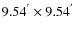 $9.54^{'} \times 9.54^{'}$