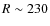 $R \sim 230$