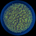 \begin{figure}
{\hbox{
\psfig{figure=1505fig8.ps,width=9cm} }}\end{figure}