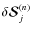 $\delta {\bm{\mathcal S}}_j^{(n)}$