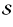 ${\bm{\mathcal S}}$