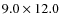 $9.0\times 12.0$