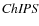 $\it {ChIPS}$
