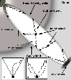 \begin{figure}
\par\includegraphics[width=8.9cm,clip]{acceptedimages/2013f10.ps}
\end{figure}