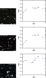 \begin{figure}
\par\hspace*{1cm}\includegraphics[bb=0 0 730 730,width=0.78\colum...
...cludegraphics[bb=115 290 775 830,width=9.1cm,clip]{1552f3_04cs.eps}
\end{figure}