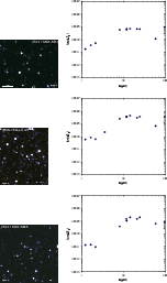 \begin{figure}
\par\hspace*{1cm}\includegraphics[bb=0 0 730 730,width=0.78\colum...
...cludegraphics[bb=115 290 775 830,width=9.1cm,clip]{1552f3_05cs.eps}
\end{figure}