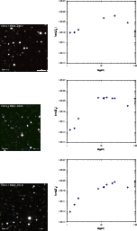 \begin{figure}
\par\hspace*{1cm}\includegraphics[bb=0 0 730 730,width=0.78\colum...
...cludegraphics[bb=115 290 775 830,width=9.1cm,clip]{1552f3_09cs.eps}
\end{figure}