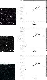 \begin{figure}
\par\hspace*{1cm}\includegraphics[bb=0 0 730 730,width=0.78\colum...
...cludegraphics[bb=115 290 775 830,width=9.1cm,clip]{1552f3_10cs.eps}
\end{figure}
