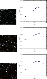 \begin{figure}
\par\hspace*{1cm}\includegraphics[bb=0 0 730 730,width=0.78\colum...
...cludegraphics[bb=115 290 775 830,width=9.1cm,clip]{1552f3_11cs.eps}
\end{figure}
