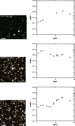 \begin{figure}
\par\hspace*{1cm}\includegraphics[bb=0 0 730 730,width=0.78\colum...
...cludegraphics[bb=115 290 775 830,width=9.1cm,clip]{1552f3_12cs.eps}
\end{figure}
