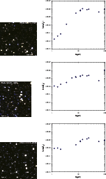 \begin{figure}
\par\hspace*{1cm}\includegraphics[bb=0 0 730 730,width=0.78\colum...
...cludegraphics[bb=115 290 775 830,width=9.1cm,clip]{1552f3_17cs.eps}
\end{figure}