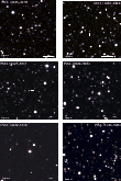 \begin{figure}
\par\includegraphics[bb=0 0 730 730,width=0.78\columnwidth]{1552f...
...cludegraphics[bb=0 0 730 730,width=0.78\columnwidth]{1552f4_2f.eps}
\end{figure}