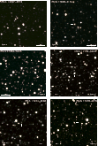 \begin{figure}
\par\includegraphics[bb=0 0 730 730,width=0.78\columnwidth]{1552f...
...cludegraphics[bb=0 0 730 730,width=0.78\columnwidth]{1552f4_4f.eps}
\end{figure}