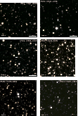 \begin{figure}
\par\includegraphics[bb=0 0 730 730,width=0.78\columnwidth]{1552f...
...cludegraphics[bb=0 0 730 730,width=0.78\columnwidth]{1552f4_5f.eps}
\end{figure}