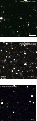 \begin{figure}
\par\includegraphics[bb=0 0 730 730,width=0.78\columnwidth]{1552f...
...cludegraphics[bb=0 0 730 730,width=0.78\columnwidth]{1552f4_7c.eps}
\end{figure}