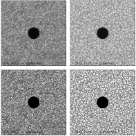 \begin{figure}\par {{\epsfig{file=11975ev2.eps,width=18.0cm} }}\end{figure}