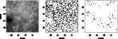 \begin{figure}
\par\includegraphics[width=14.5cm,clip]{1155fig2}\end{figure}