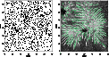 \begin{figure}
\par\mbox{\includegraphics[width=5.2cm,clip]{1155fi7a}\hspace*{2mm}
\includegraphics[width=5.2cm,clip]{1155fi7b} }
\end{figure}