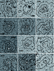 \begin{figure}
\par\includegraphics[scale=0.95]{11473fg2.eps}
\end{figure}