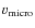 $v_{\rm micro}$