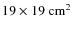 $ 19 \times 19~\rm cm^2$
