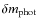 $\delta{m{_{\rm phot}}}$
