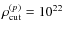 $\rho _{\rm cut}^{(p)}=10^{22}$