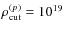 $\rho_{\rm cut}^{(p)}=10^{19}$