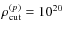 $\rho _{\rm cut}^{(p)}=10^{20}$