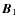 $\vec{B}_{1}$