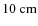$10~\centi\meter$